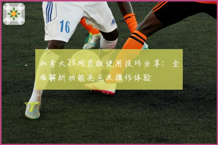 加拿大28网页版使用技巧分享：全面解析功能亮点及操作体验