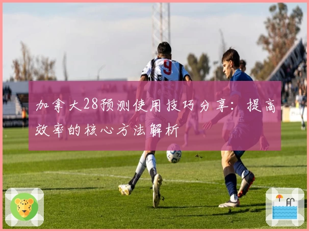 加拿大28预测使用技巧分享：提高效率的核心方法解析