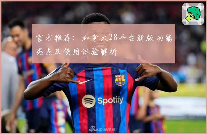 官方推荐:加拿大28平台新版功能亮点及使用体验解析