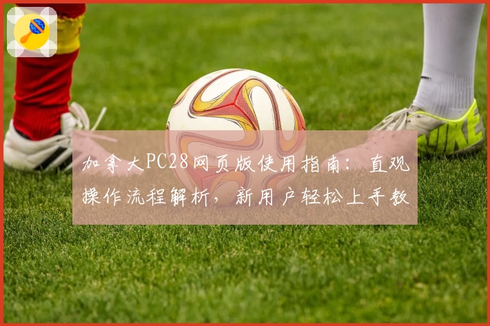 加拿大PC28网页版使用指南：直观操作流程解析，新用户轻松上手教程