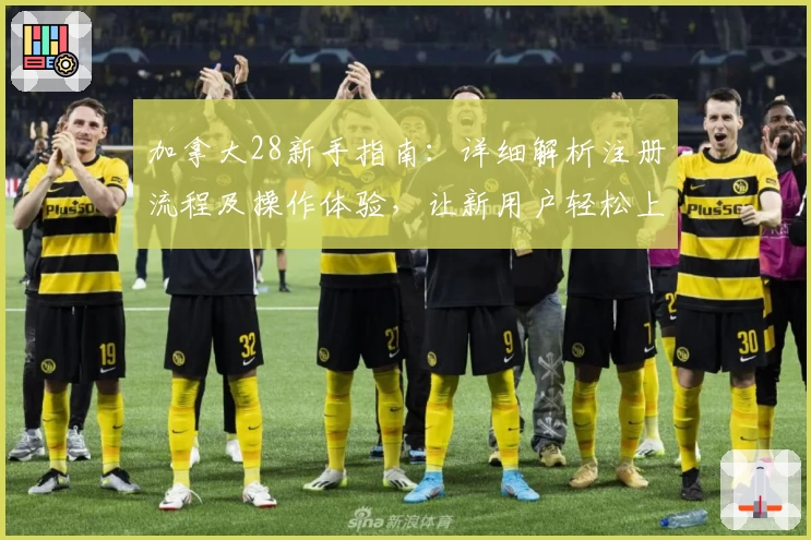 加拿大28新手指南：详细解析注册流程及操作体验，让新用户轻松上手