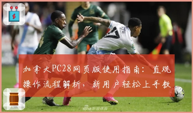 加拿大PC28网页版使用指南：直观操作流程解析，新用户轻松上手教程