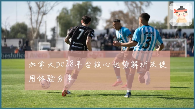 加拿大pc28平台核心优势解析及使用体验分享