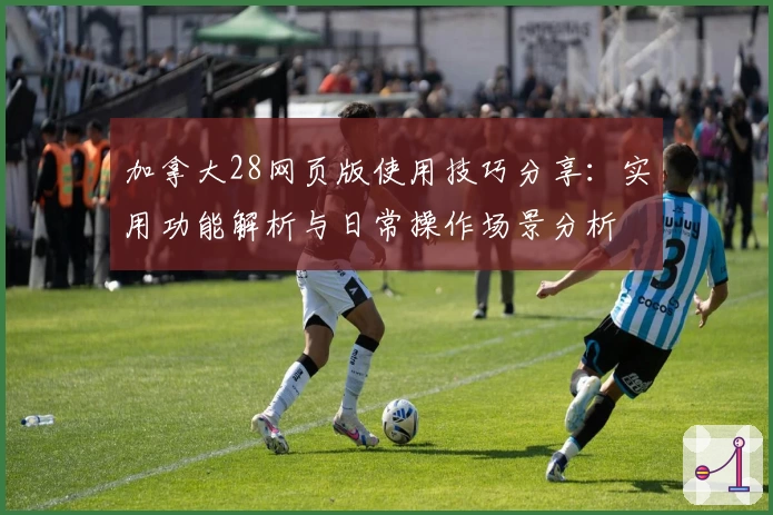 加拿大28网页版使用技巧分享：实用功能解析与日常操作场景分析